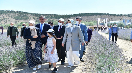 Mamak lavanta bahçeleriyle daha da güzel