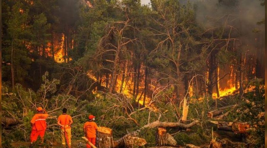 Manavgat'taki yangını 12 yaşındaki çocuk çıkarmış
