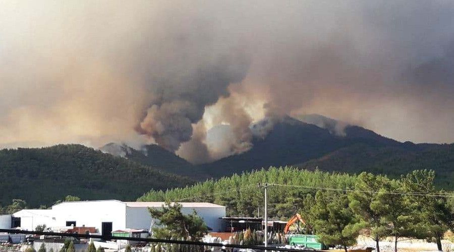 Marmaris'teki yang�na 1 u�ak 8 helikopterle m�dahale ediliyor