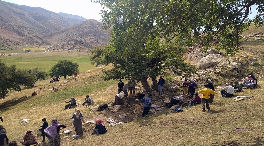 Mezraya yıldırım düştü, 35 koyun telef oldu