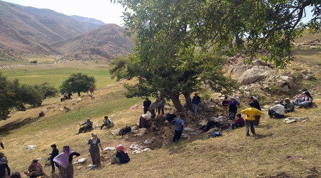 Mezraya yıldırım düştü, 35 koyun telef oldu