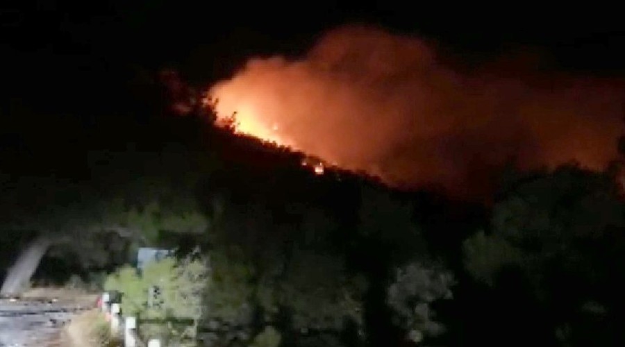 Muğla'da orman yangını