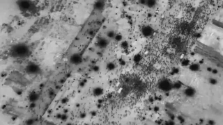 New York Times: 118 Gazzelinin öldürüldüğü saldırıda yardım konvoyunu İsrail organize etti