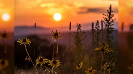 O, kendisine sığınanı boş çevirmez