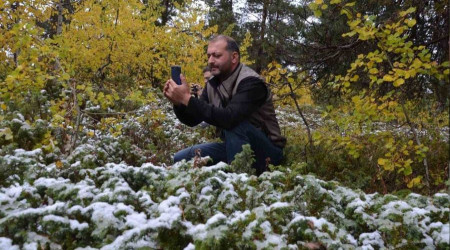 Sarıçam ormanları beyaz örtüyle kaplandı