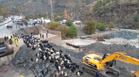 Şemdinli'de sel