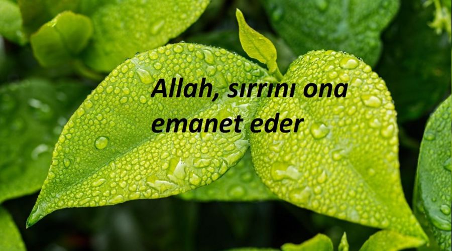 Sırrını ona emanet eder