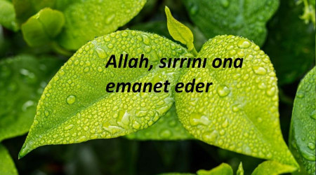 Sırrını ona emanet eder