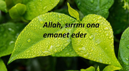 Srrn ona emanet eder