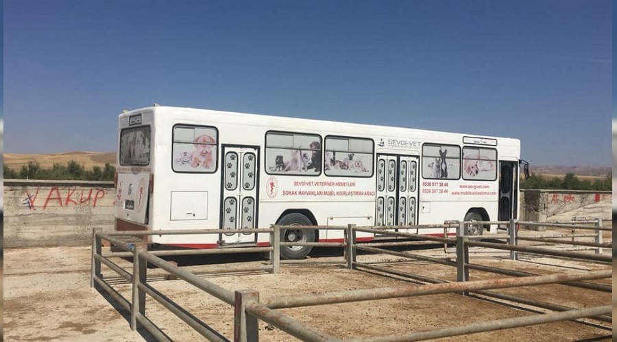 Sokak hayvanları kısırlaştırılıyor