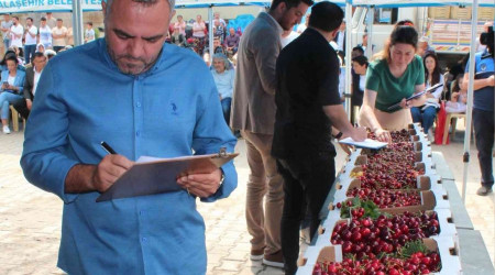 Üzümün başkentinde kiraz festivali