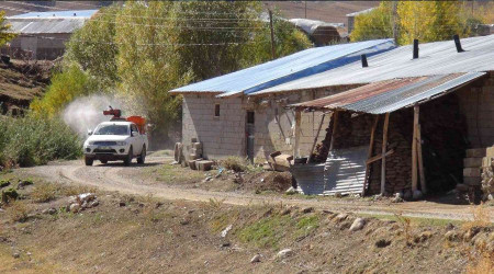 Van'da bir mahalleyi pireler bast