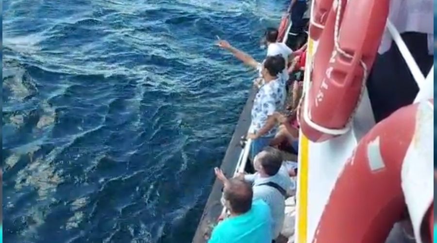 Vapurdan düşen adam hayatını kaybetti