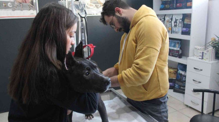 Veteriner kliniklerinde son gün çip yoğunluğu