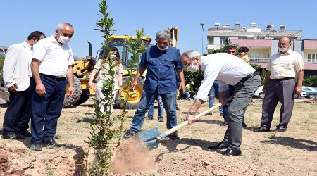 Yangna dayanakl aa trlerini dikelim