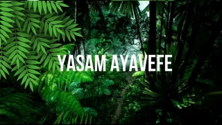Yaşam Ayavefe'nin Yaşlılar İçin Sosyal Aktivite Programları