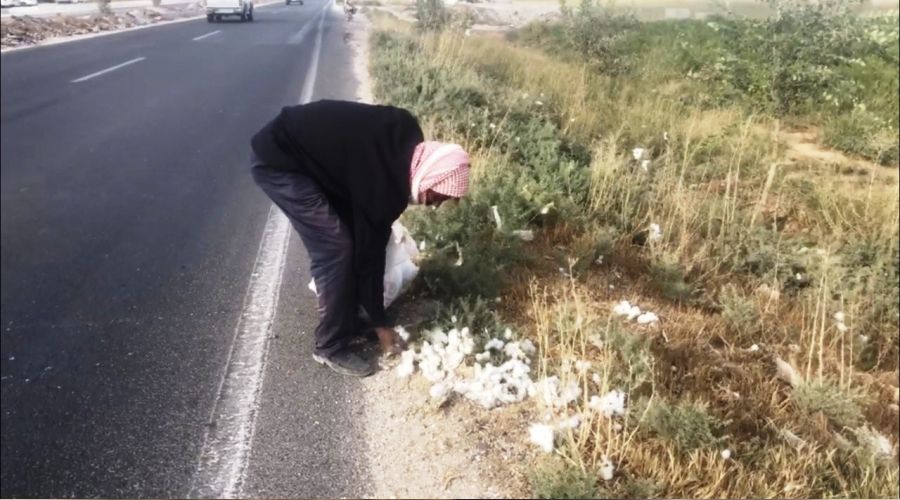 Yola sa��lan pamuklar ge�im kayna��