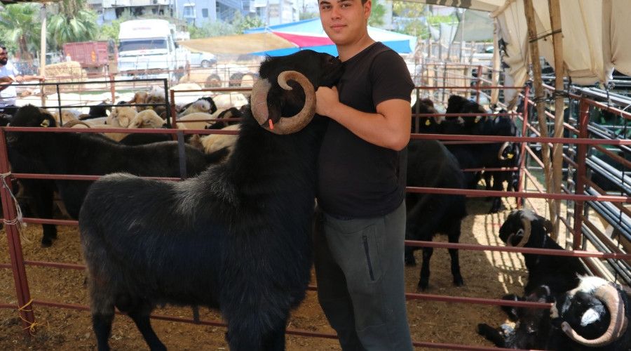 160 kilograml�k Honaml� Ke�ileri kurban pazar�n�n g�zdesi oldu