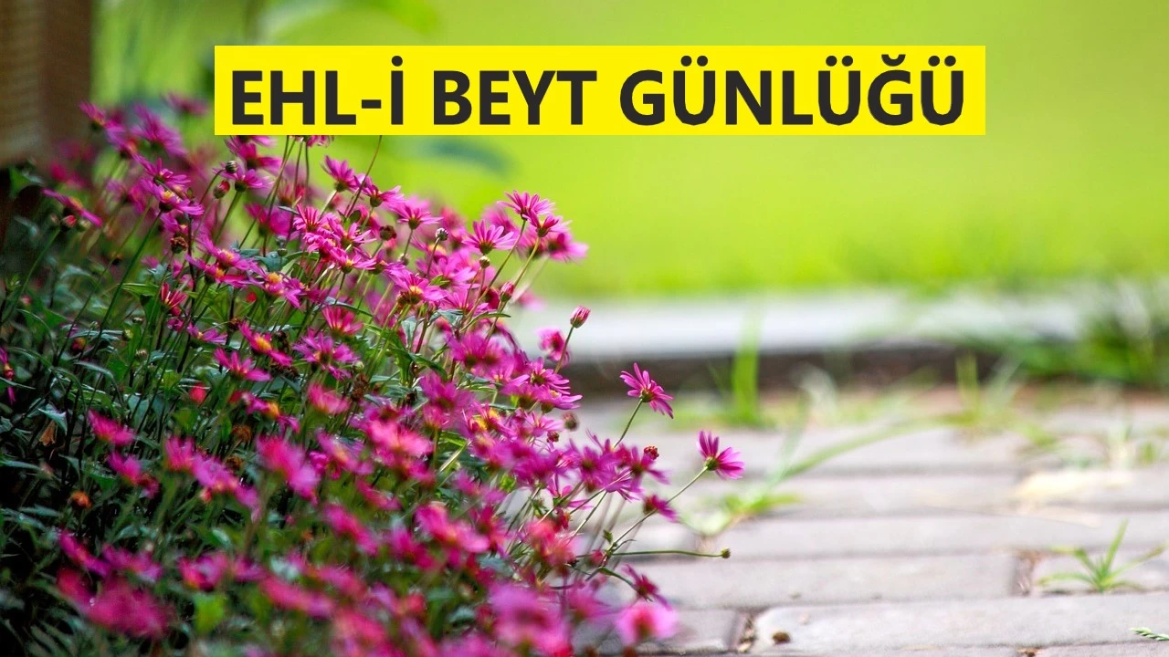 Ali gibi yiğit yoktur