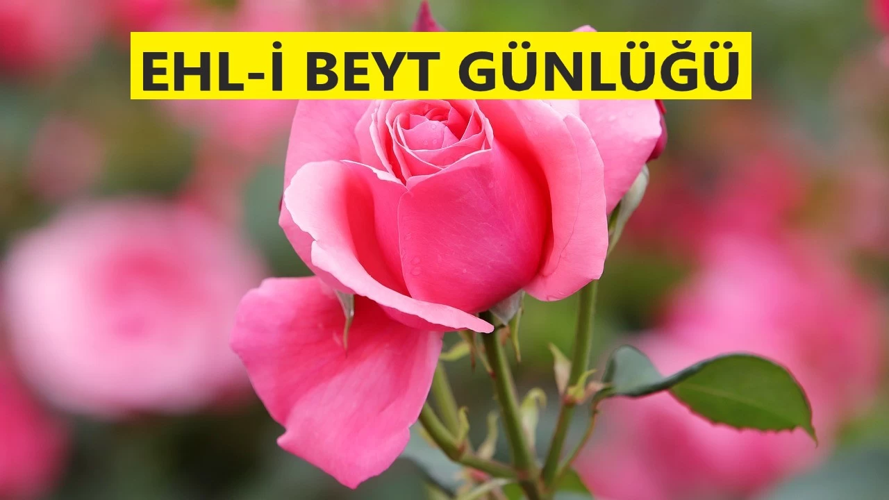 �Allah��n indirdi�i nur, �mamd�r�