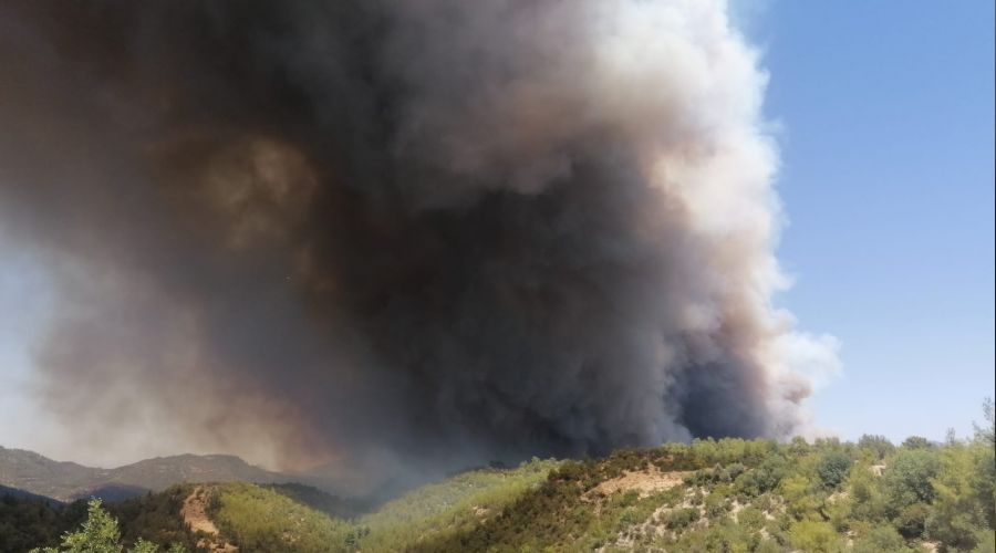 Antalya'da orman yang�n�