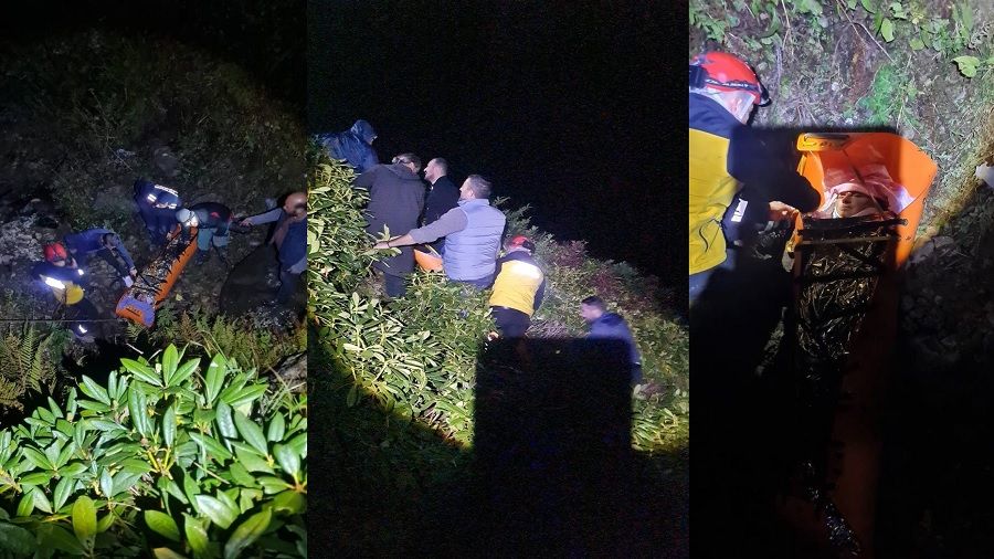 Artvin'de kamyonet u�uruma yuvarland�: 3 yaral�
