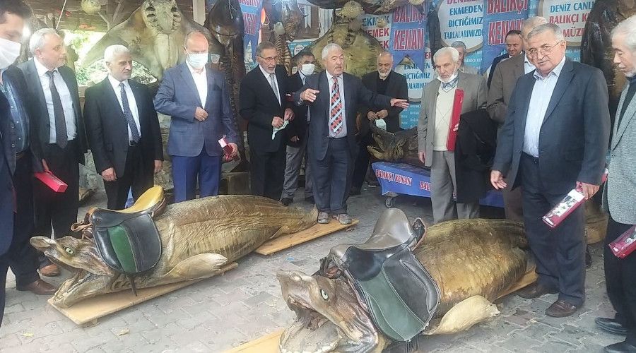 Belgesellerde olan balklar bu mzede