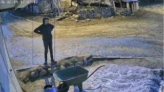 Bir bidon sütü deviren gencin çaresiz anları kamerada