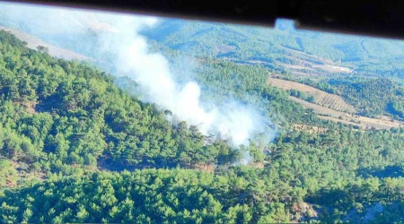 Çanakkale'de orman yangını