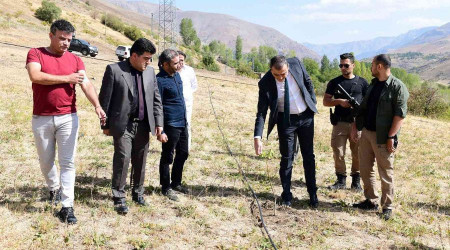 Çatak'ta kapama ceviz bahçeleri kuruluyor