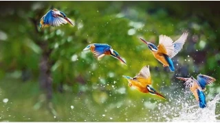 Cennet yaratılmıştır ve haktır