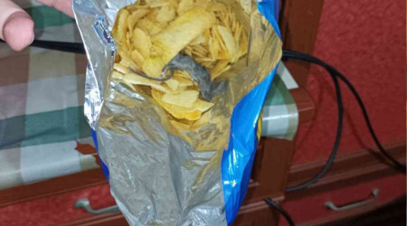 Cips poşetindeki fareye takipsizlik