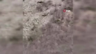 �oban k�pe�inin ay�y� kovalad��� anlar g�r�nt�lendi