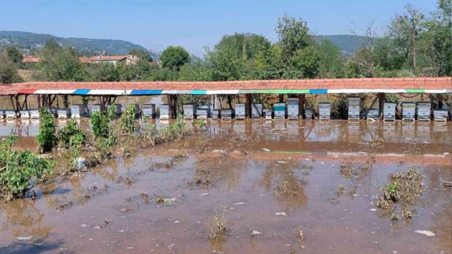 Domaniç'te 80 arı kovanı sular altında kaldı