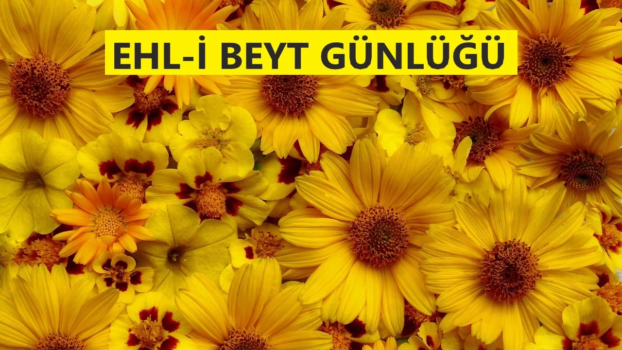 ‘Ehl-i Beyt'i terk eden sapıtır’