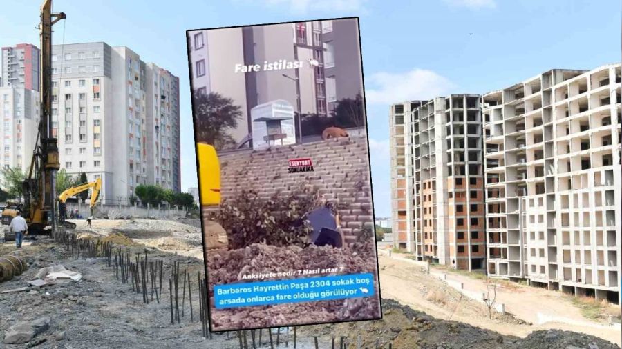 Esenyurt Belediyesi'nden 'fare istilas�' g�r�nt�lerine ili�kin a��klama