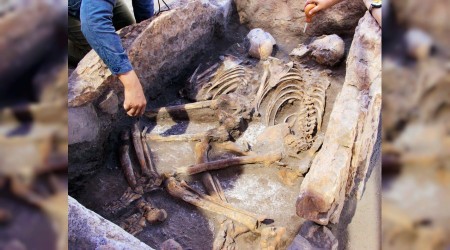 Eskişehir'de 5 bin yıllık insan iskeletleri çıktı