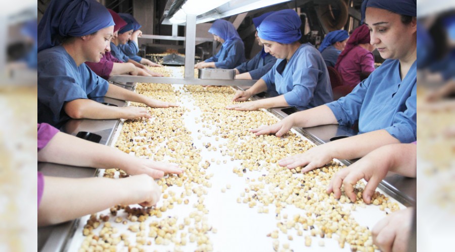 F�nd�k ihracat�nda yeni rota