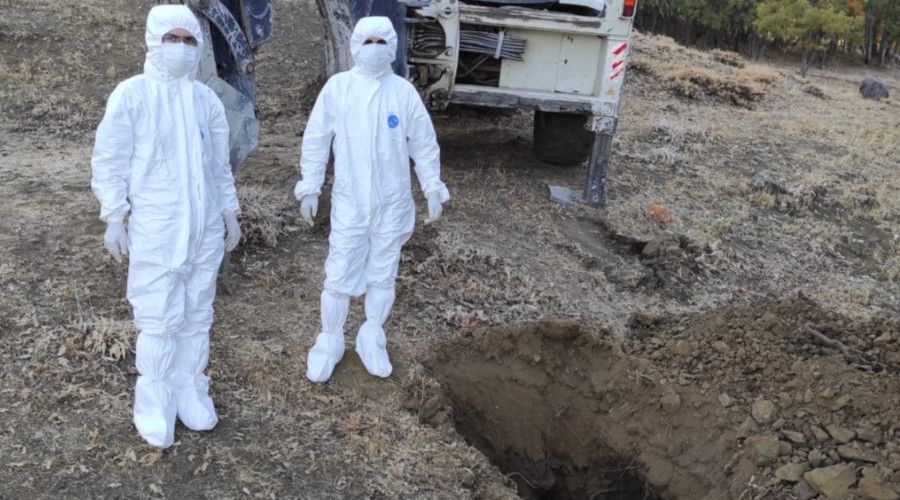 Gerger'de 2. kuduz vakası