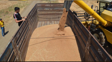 Gıda fiyatları dünyada resesyonla düşüşte