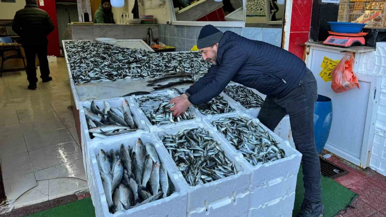 Hamsi tezgahtaki kralln istavrite kaptrd