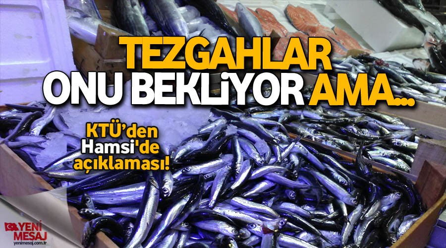 Hamsi'de kriz yolda