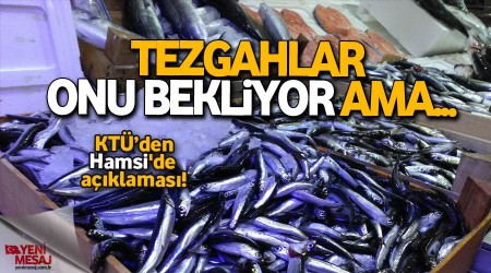 Hamsi'de kriz yolda