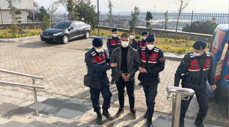 Hırsızlığın böylesi... 4 kamyonet zeytin fidanını çaldılar