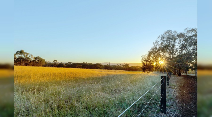 Hz. Abdulkadir Geylani'den Alt�n ���tler