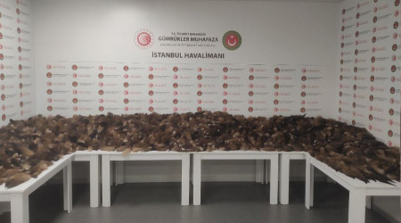 İstanbul Havalimanı'nda 10 bin 300 tilki kuyruğu ele geçirildi