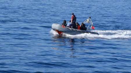 zmir aklarnda 80 gmen yakaland, 45 gmen de kurtarld