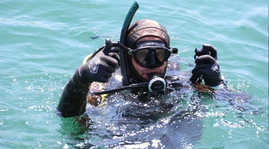 �zmit K�rfezi'nde m�silaj�n etkisi azald�