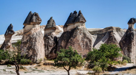 Kalplerin cilâsı hikmeti konuşmaktır
