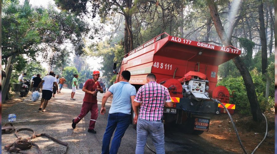 Kovay�, damacanay� kapan yang�na ko�tu